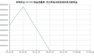 祥和实业 603500 支付其他与投资活动有关的现金