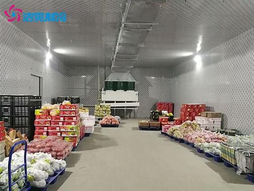 建造1000吨食品加工冷库大概需要多少