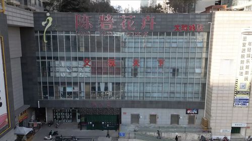 实探即将闭店的花卉市场 市民趁商家甩卖提前购置春节用品