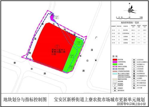 宝安区新桥街道上寮农批市场城市更新项目实施主体公示